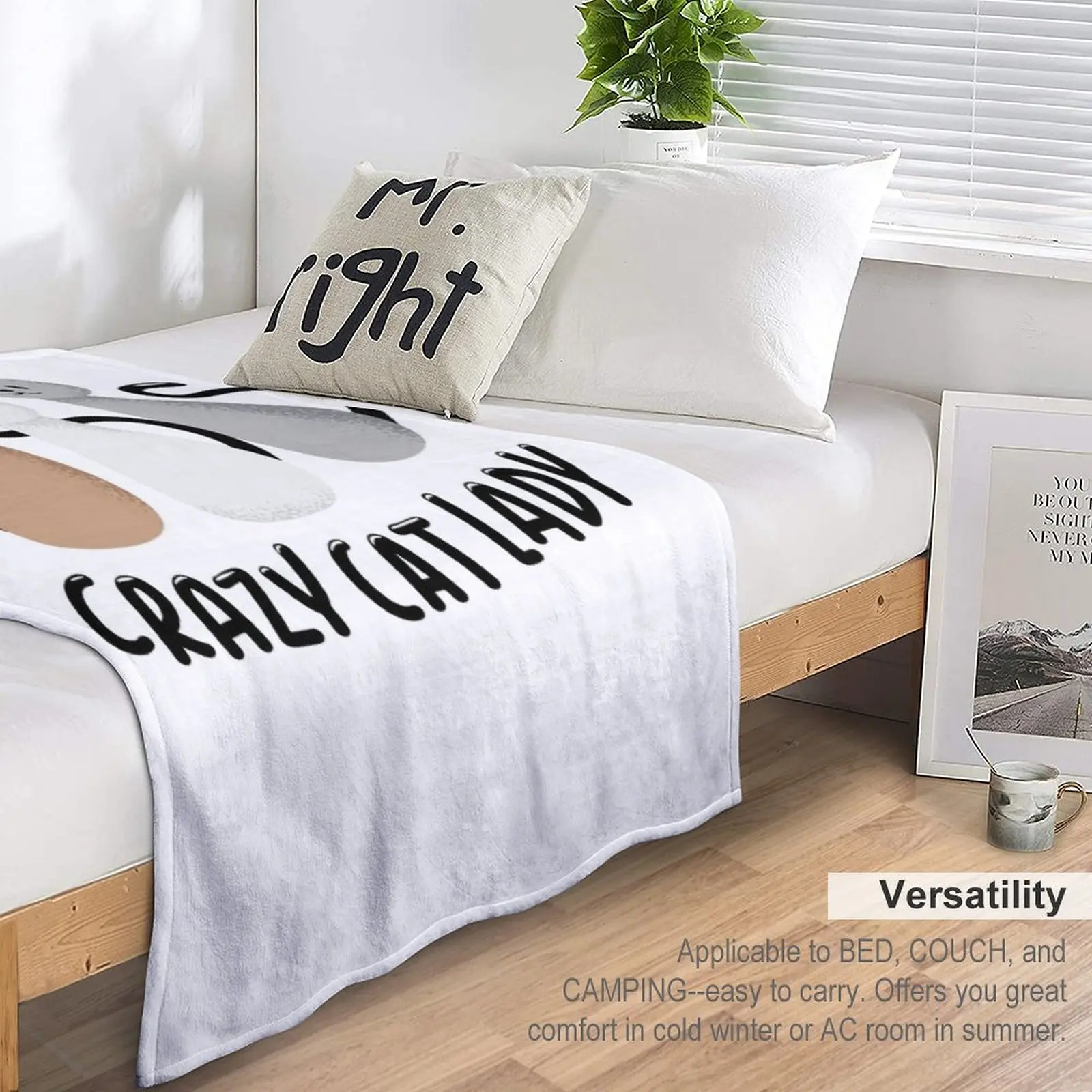 ũ������ Ĺ�� ���̵� ������ ���, ������ ���� ���, ���ſ� ���� �ܿ� ħ��