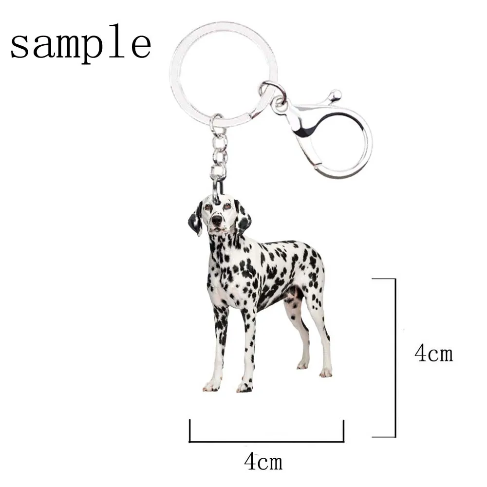 NEW, Irish Wolfhound, dog keyring, necklace and clipring in casket