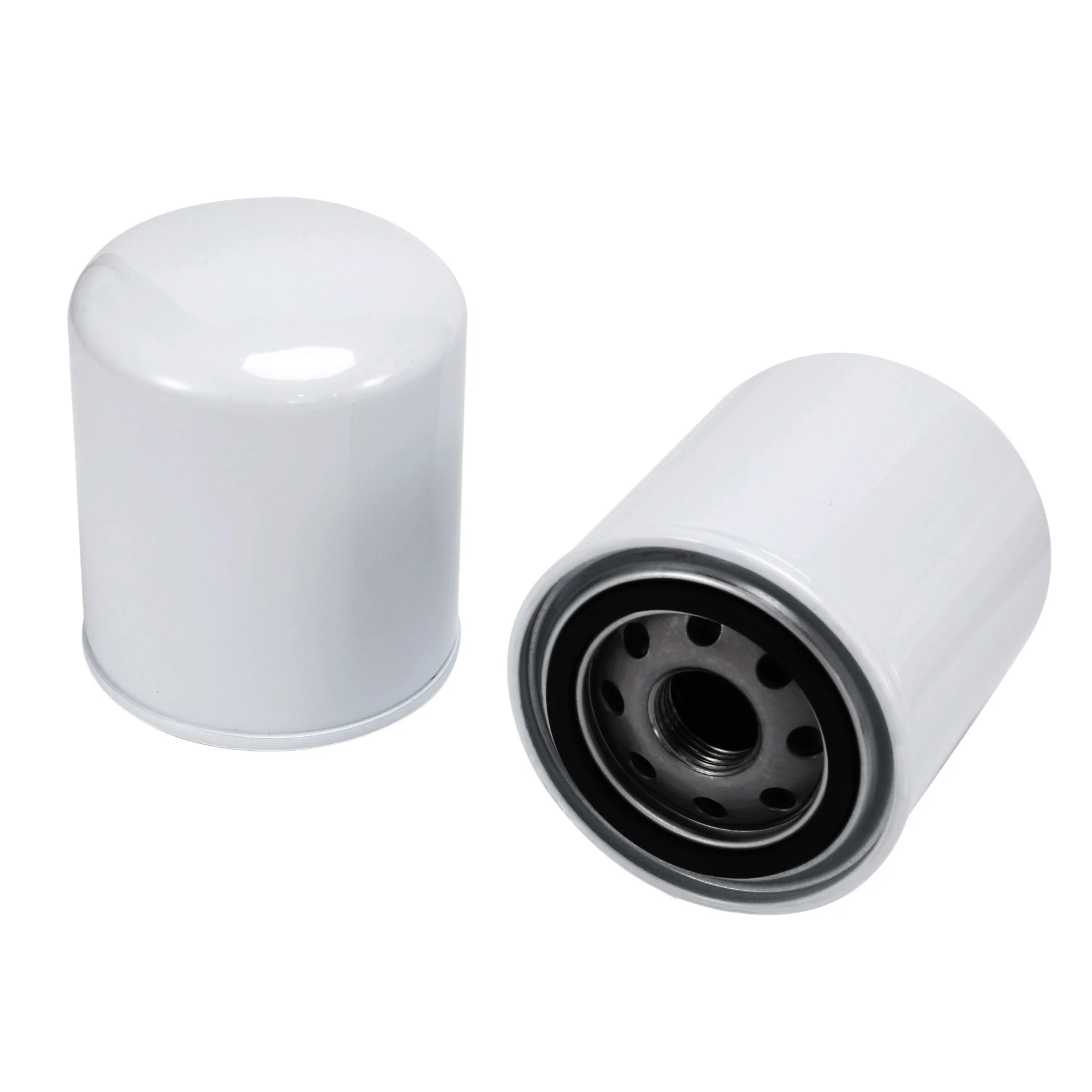 2PCS Boat Outboard Fuel Filter for Johnson/Evinrude/OMC/BRP Water