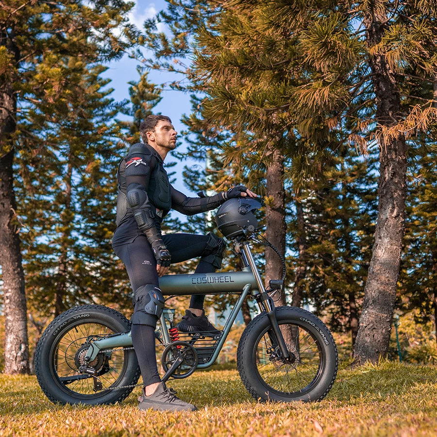 500w 48V 20Ah E Scooter Electric Motorcycles Electric Disc Brake Bicycle for Salecustom