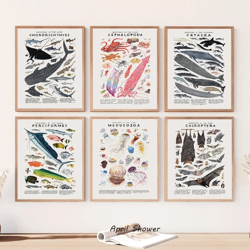 Abstract Marine Organisms Jellyfish Whale Squid Fishes Posters Canvas Painting and Prints Wall Art Picture for Room Home Decor 1