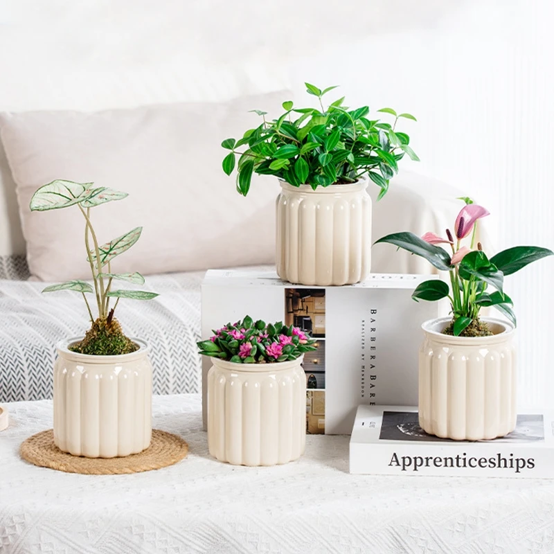 Hydroponic Plants Pot flower pot hydroponic flower pot plant pot Self Watering Indoor Mini Succulent Planter Tabletop Vase for Home Office Bonsai Decor