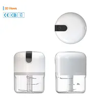 250ml Rechargeable Kitchen Portable Electric Garlic Vegetable Chopper Mini Food Processor Food Blender 6