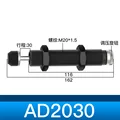 AD2030