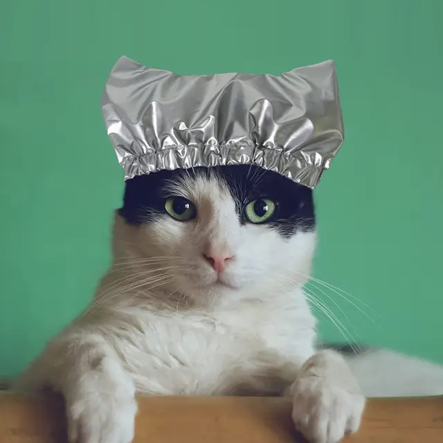 Cat bathing shower cap double layer waterproof bathing cat/dog shower cap to prevent water from entering the ears pet supplies