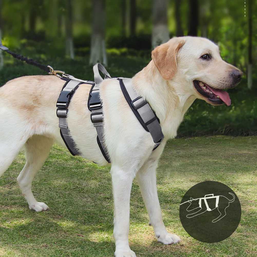 2024 Dog Harness With Adjustable Leather Pet Vest for Easy Pet Training  Walking Harness Pet Supplies For Small Medium Large Dogs