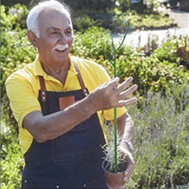 Műanyag Tét A Hegymászó Növényekhez. Növénytámogató Rácsos Kert Egyetlen Szárú Virág Tartóállvány - Image 3