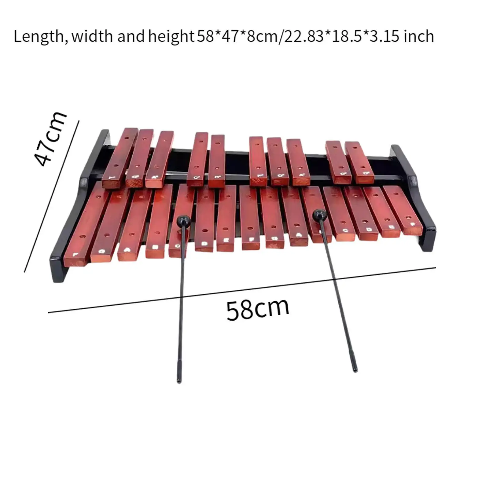 25 Scales Xylophone Montessori for Live Performance Event School Orchestras