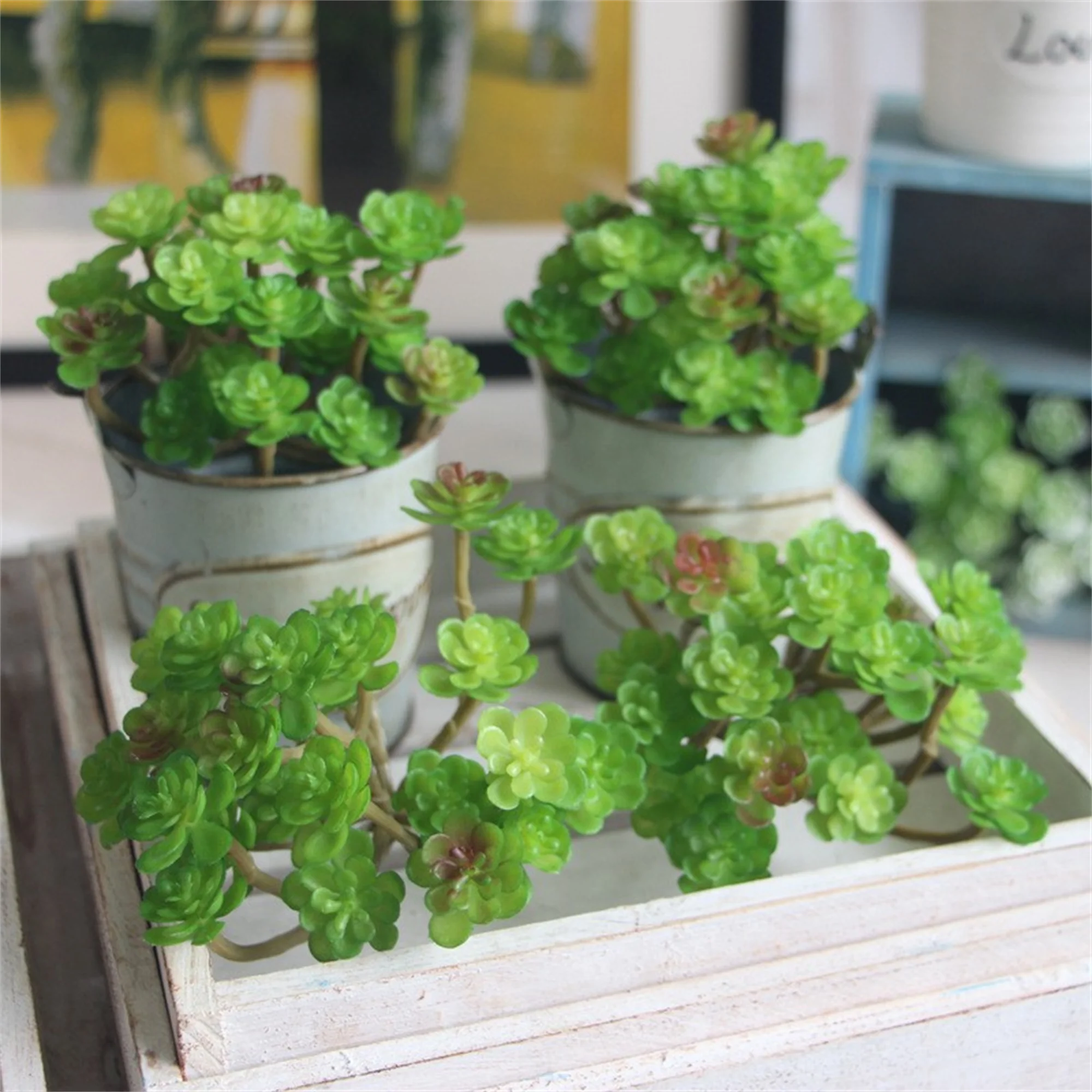 Artificial Encrinite Succulent Decor Plant - Realistic Colors, Natural Countryside Style