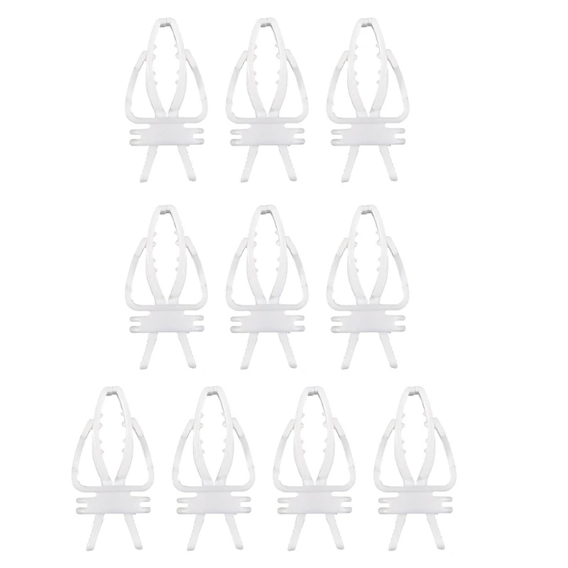 

10 шт. зажимы для кормления фруктами для домашних животных, держатель для еды, украшения для птичьей клетки