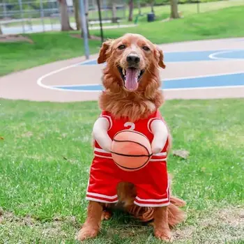 Dog Basketball Costume With Ball Pet Halloween Funny Dress Up Breathable Pet Basketball Star Costume For Large Medium Cats 3