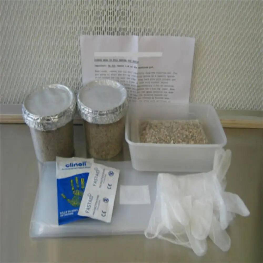 

Mushroom and Mushroom Growing Kit, Magic Farm's oyster Mushroom, 2 Growing Pots, Large Size