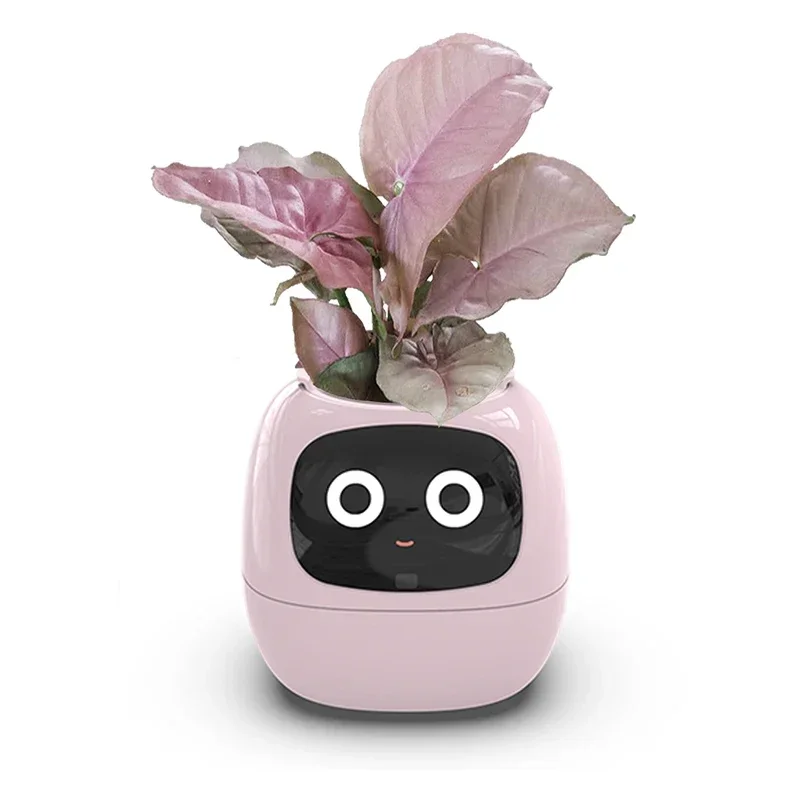 

Indoor Creative Interaction Smart Cute Pet Small Flower Pot Balcony Desktop Home Decoration