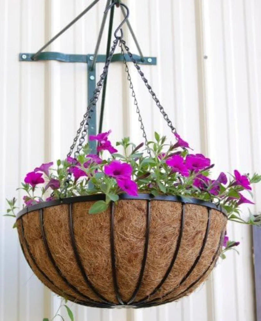 NEW Art Works 24" Georgian Rigid Iron Hanging Basket (C960-5) with Coco Moss Liner-5 Set Pack