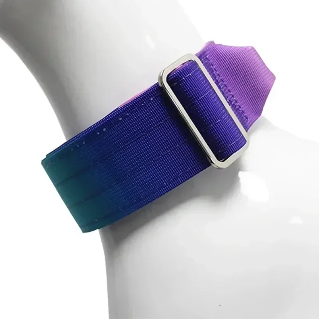 New 5mm Wide Pet Collar Gradual Change Color Traction Set Adjustable Nylon Dog Collar Supplies Medium and Large Dog Accessories 6
