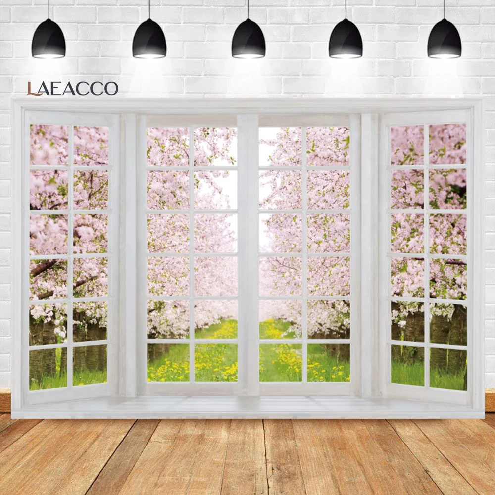 Laeacco- â ,  ޺    ǳ   Ƽ ʻȭ  