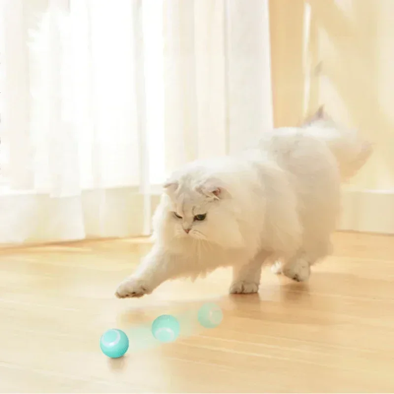 Dog Toys Smart Puppy Ball Toys For Cat Small Dogs Funny Auto Rolling Ball  Self-moving Puppy Games Toys Pet Supplies - AliExpress