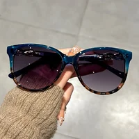 Women's Cat Eye Sunglasses Retro Butterfly Sunglasses Women's Fashion Mountaineering Sunglasses