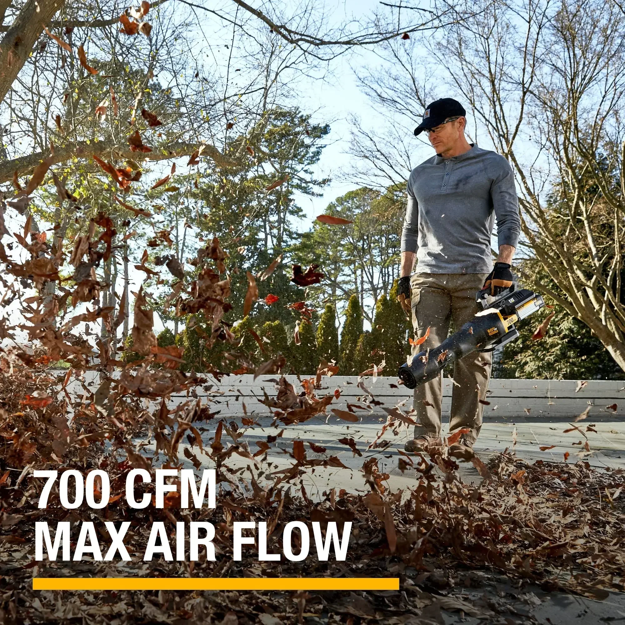 DG650 60V 700 CFM 135 MPH Leaf Blower Cordless with Battery and Charger,Adjustable Speed Blowers for Lawn Care,Lightweight 4