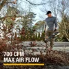 DG650 60V 700 CFM 135 MPH Leaf Blower Cordless with Battery and Charger,Adjustable Speed Blowers for Lawn Care,Lightweight 4
