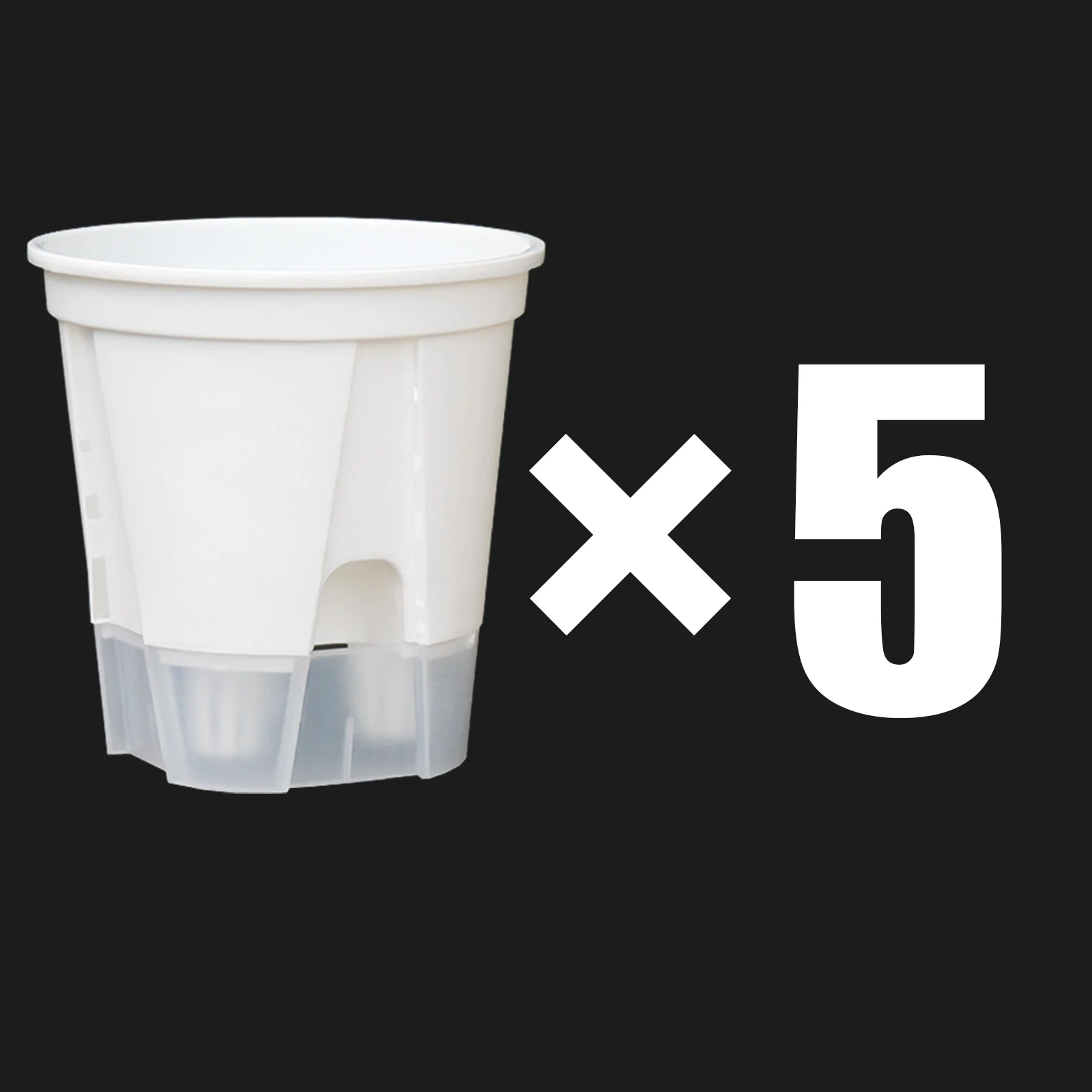 5 Pieces