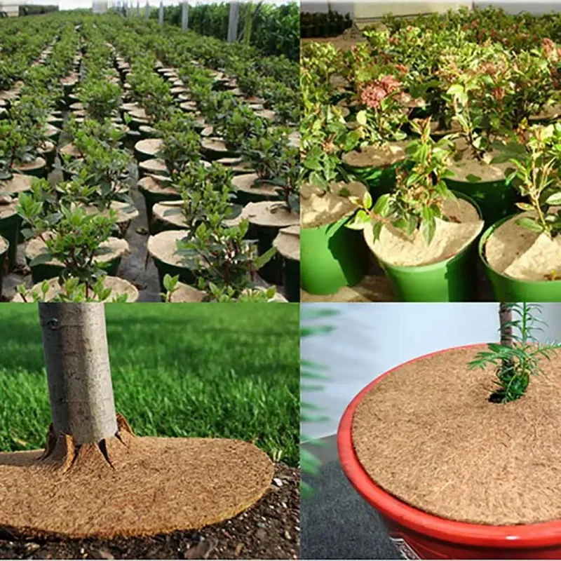 Circular Coconut Shell Fiber Plant Plastic Film Coconut Brown Silk Flat Mat Tight Grass Prevention Mat Flower Pot