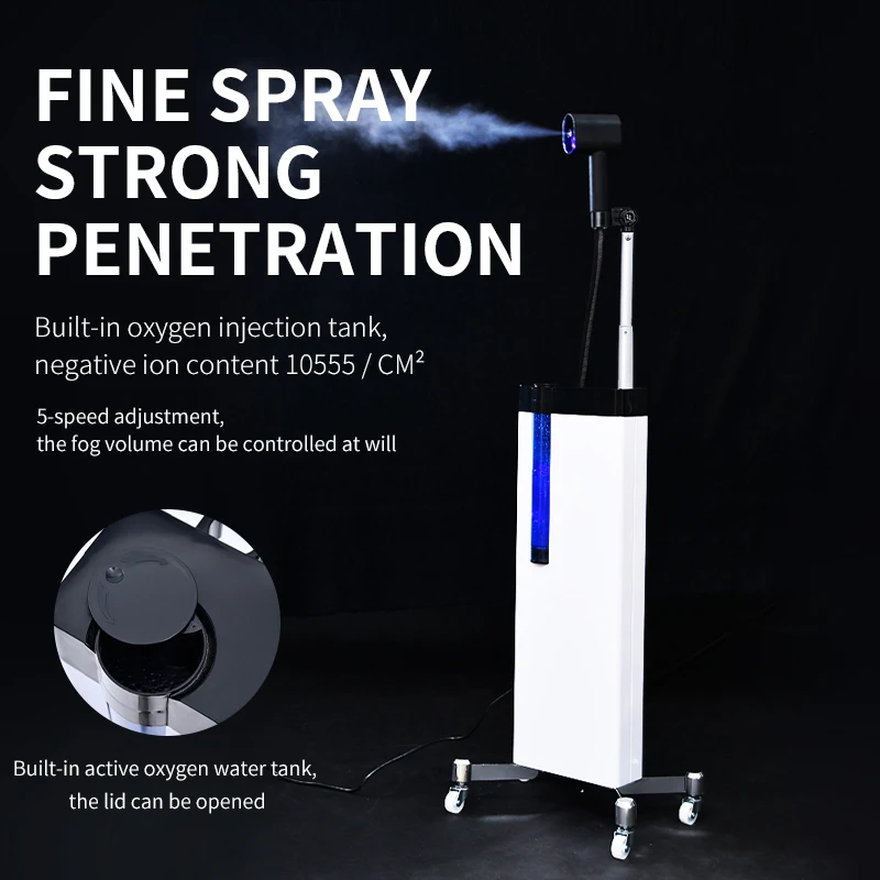 SalonHandheldHairSteamerGunProfessionalNanoMicroMistHairCare