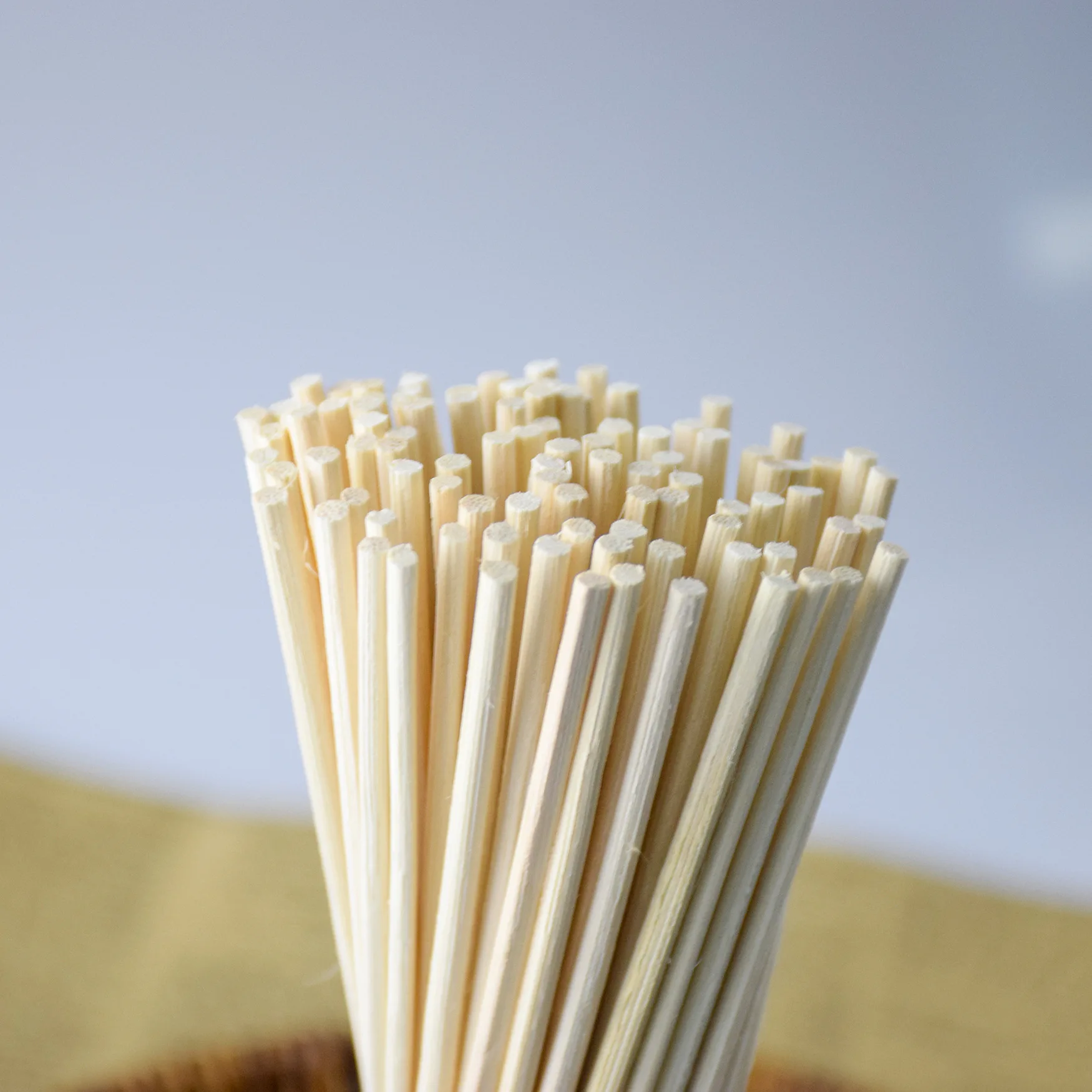 Eco-friendly Natural Aromatherapy Rattan Sticks Wooden Reed Diffuser Sticks for Household Scents 3MMX22CM reed diffuser refill sticks