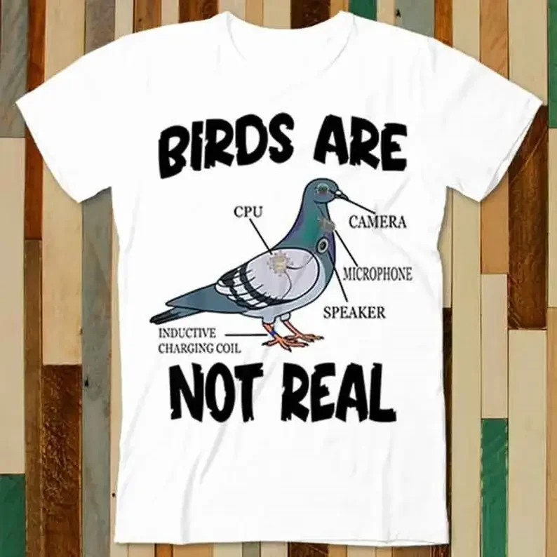 

Pigeon Birds Are Not Real Funny Bird Spies Conspiracy Theory T Shirt Adult Unisex Men Women Retro Design Tee Vintage Top A4906