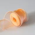 Shiny Orange