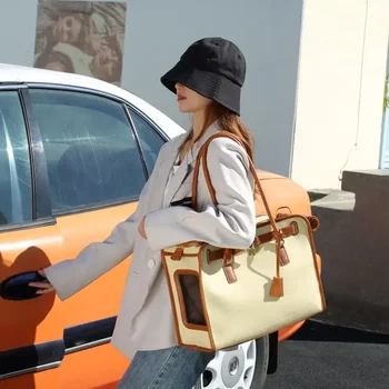 애완 동물 가방, 테디 강아지 배낭, 테이크 아웃 가방, 고양이 배낭 여행