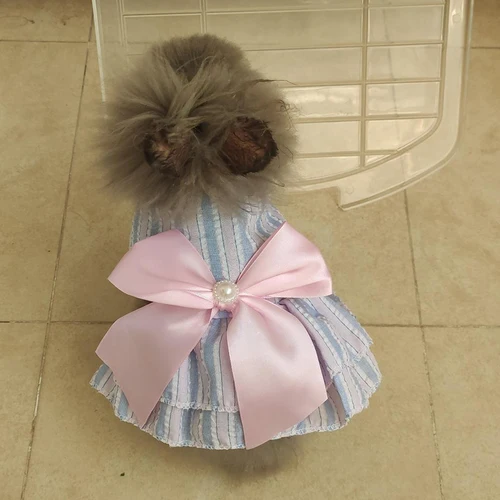 고양이 강아지 공주 드레스, 줄무늬 격자 무늬 드레스, 리본, 고양이 고양이 토끼 스핑크스 의류, 여름 애완 동물 의류 2