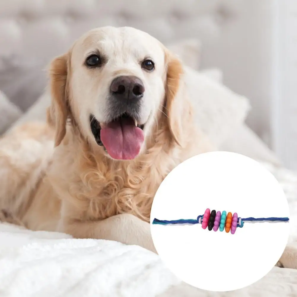 

Dog Dental Health Toy Dog Toy Bundle Durable Teething Chew Toy Bite-resistant Rope Succulent Flower Ball for Dental Health Puppy