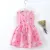 Summer Newborn Baby Clothes Infant Girl Clothes Korean Cute Print Sleeveless Cotton Beach DressPrincess Dresses 1