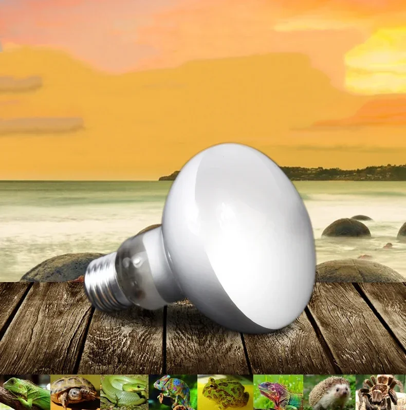 UVA+UVB Reptile Lamp Bulb reptile heating lamp reptile light bulb reptile lamp bulb Reptile Waterproof Daylight Lamp Heating For Turtle Lizard Terrarium Temperature Controller