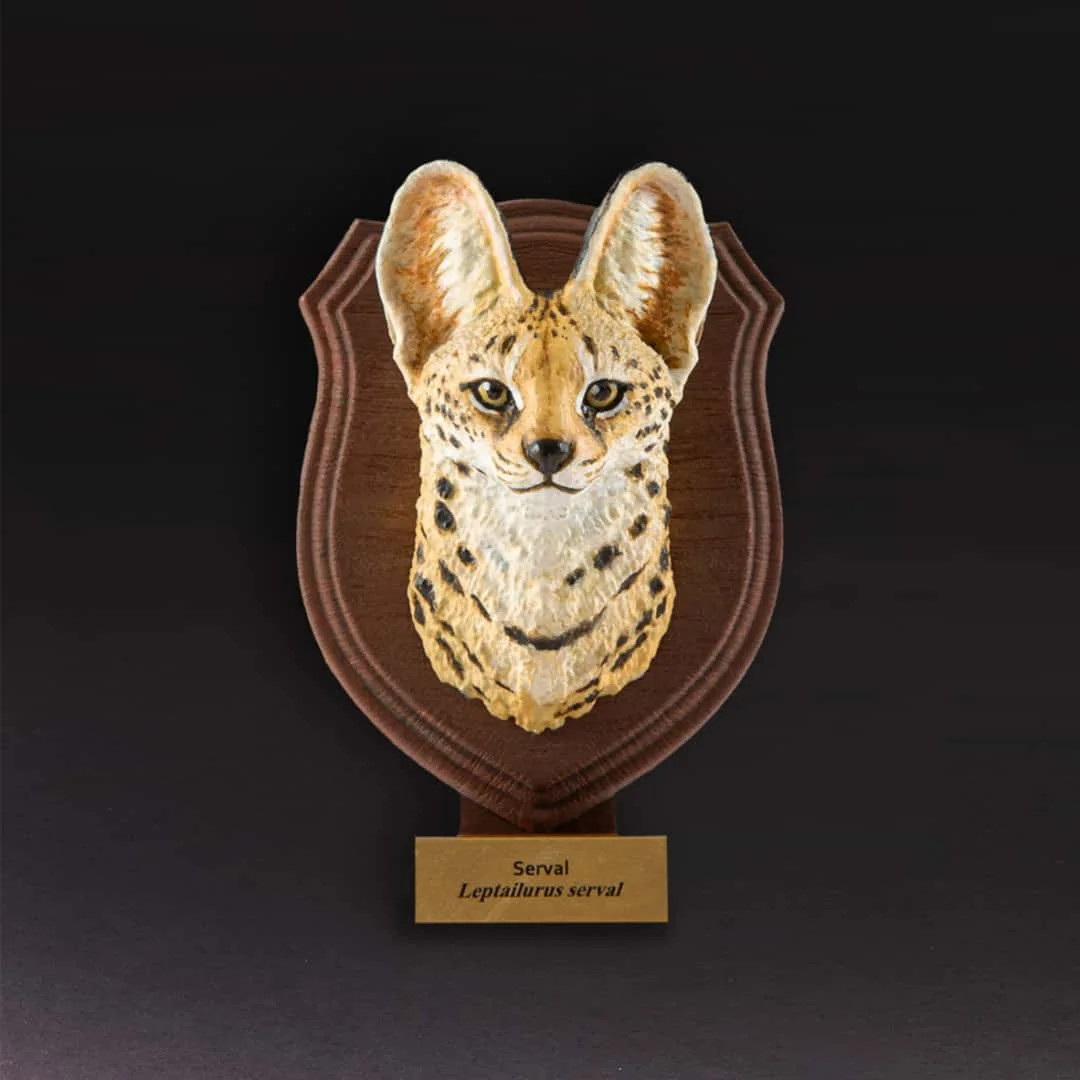 Exquisite Animal Kingdom Carved Magnet Collection - Featuring Majestic Tiger & Caracal