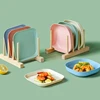 Wheat Straw Plate Lightweight Plastics Plate  Fruits Plate Reusable Tableware for Kids Toddlers Adults Multi-color 3