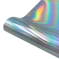 Rainbow Silver