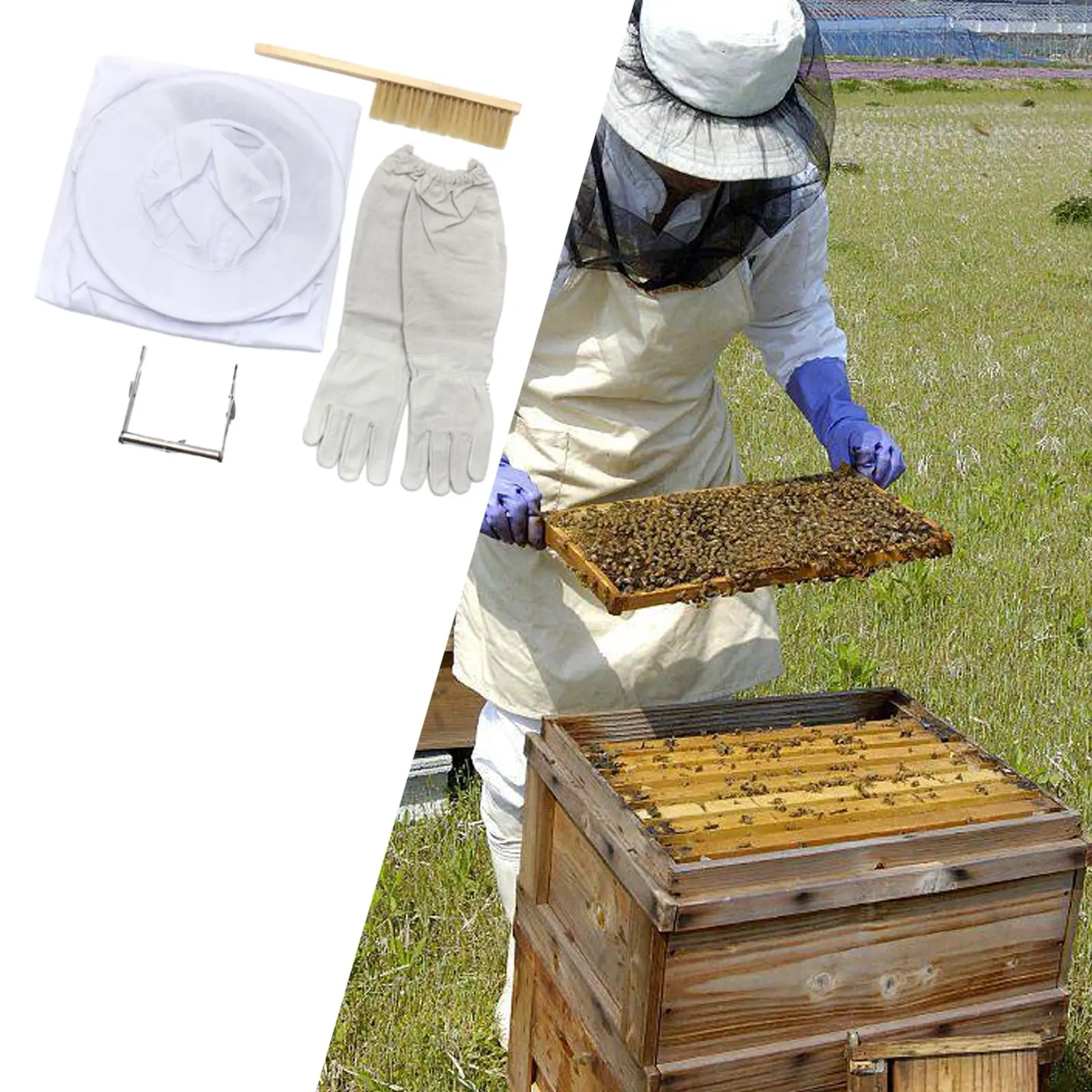 Beekeeping Suit Set Elastic Cuffs Beekeeping Jacket with Gloves Beehive Brush Frame Lifter Comfortable for Beekeepers Women Men