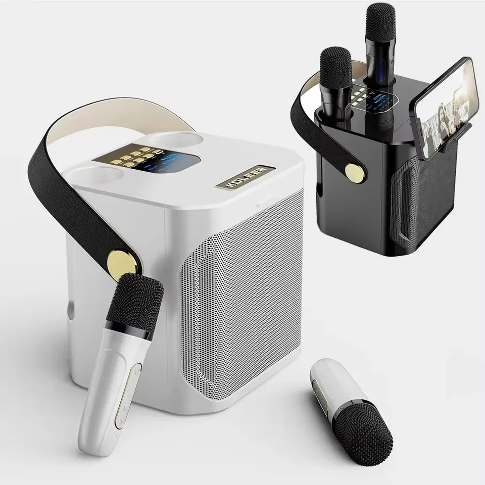 High Power Portable Karaoke Bluetooth Speaker with Microphones