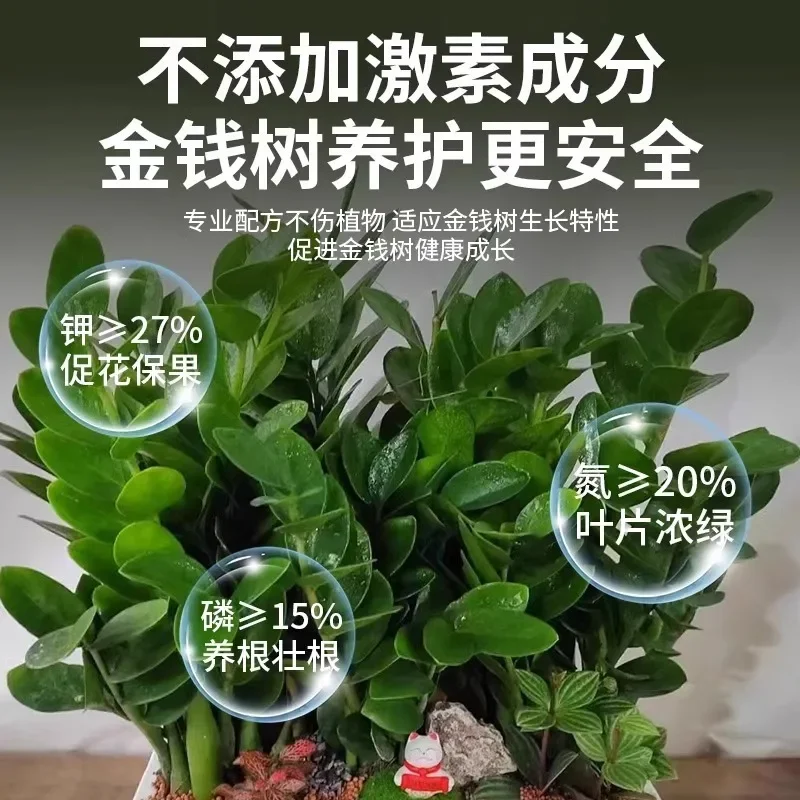 Money Tree Fertilizer Special Fertilizer Nutrient Solution Plant Universal Household Indoor Potted Flower Growing Money Tree