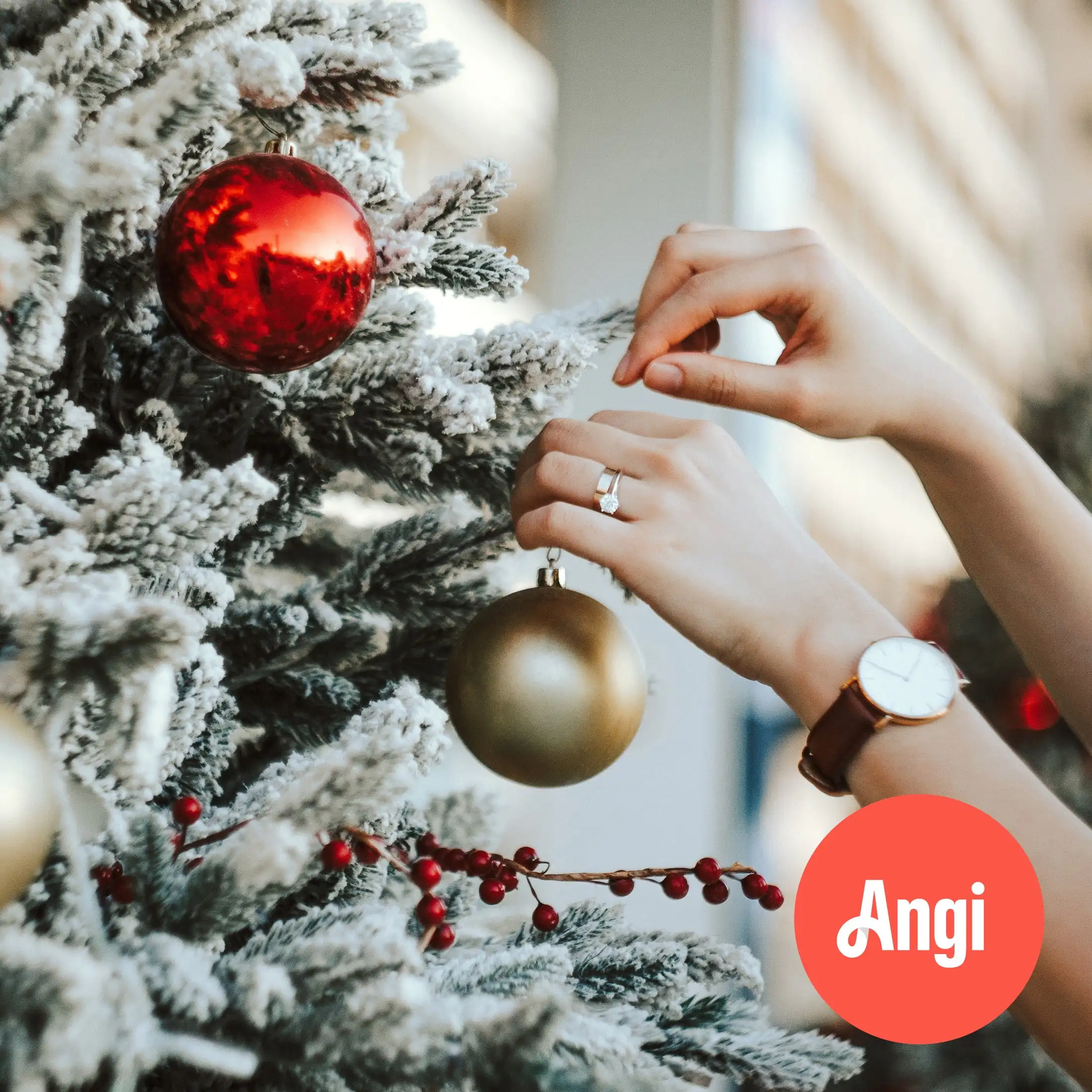 

Christmas Decor Help Service (2 hours)