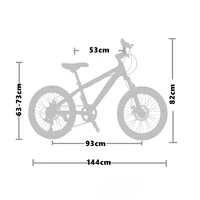 Vélo de montagne avec fourche avant absorbant les chocs, cadre en alliage d'aluminium, frein à disque, vélo pour enfants, 7 vitesses, 20 po 6