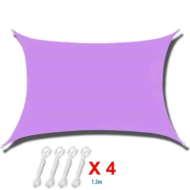 purple rectangle