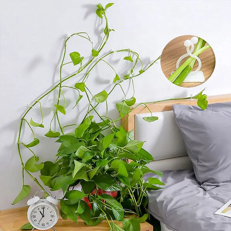 Plant Vine Climbing Clip Invisible Wall Self-adhesive Fixator 10/30/50pcs/Bag Garden Plant Vine Climbing Fixed Support