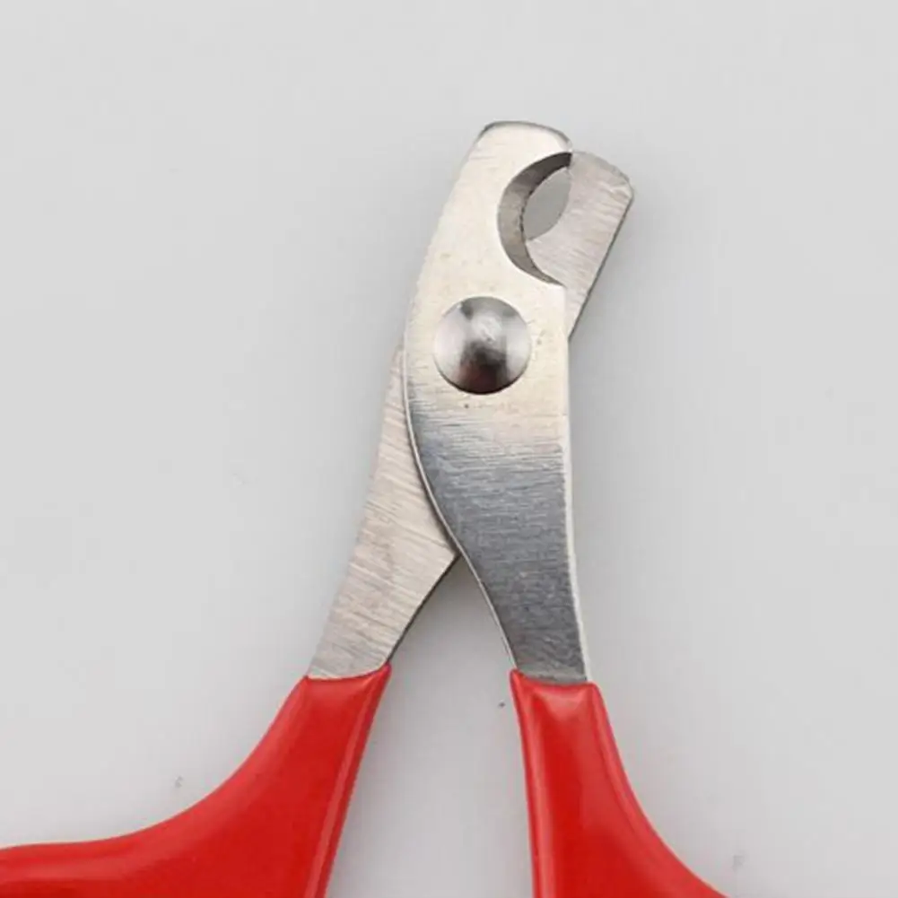 Dog Nail Trimmer Professional Pet Nail Clippers for Cats Dogs Sturdy Sharp Grooming Supplies for Easy Trimming Toe Pet Puppies