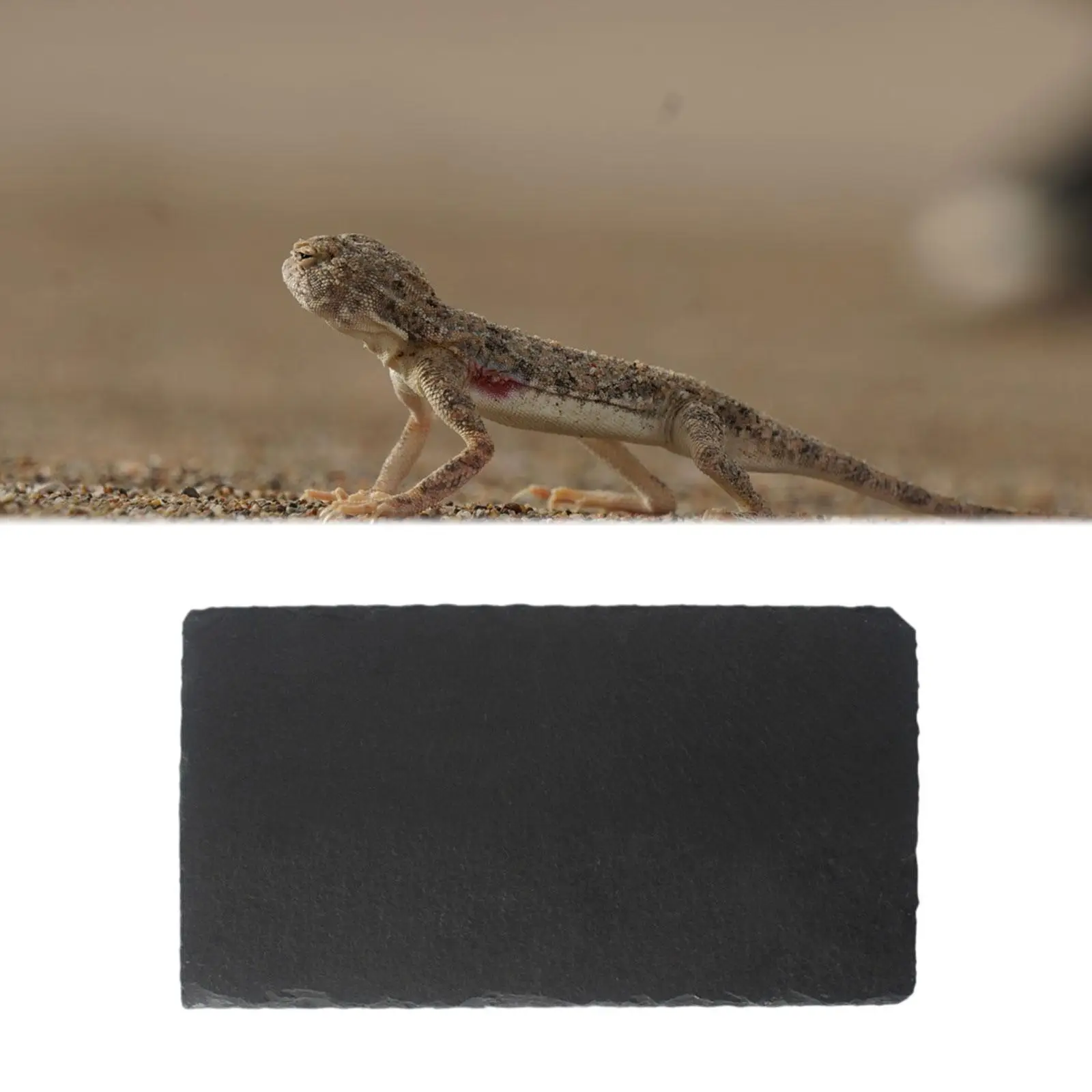 Reptile Basking Platform Tortoise Feeding Dish Resting Terrace Rock Reptile Food Bowl Slate for Bearded Snake Frog