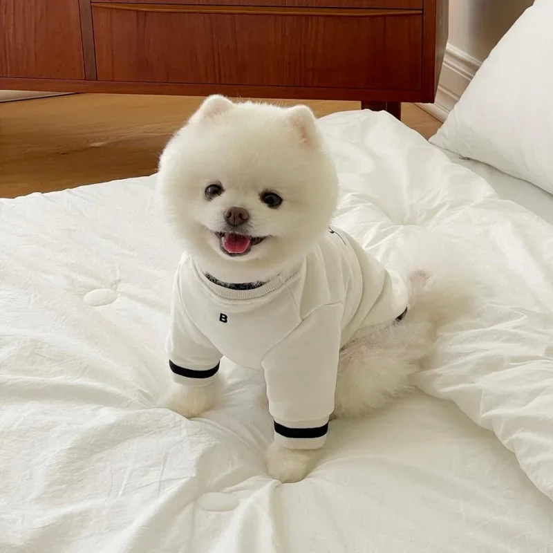 Pet embroidery and velvet autumn and winter round neck hoodie For dogs Pomeranians teddy bears Small dogs cats Pet clothes