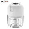 Mini Electric Garlic Chopper USB Meat Grinder Garlic Masher Machine Sturdy Durable Crushed Ginger Vegetable Crusher Kitchenware 1
