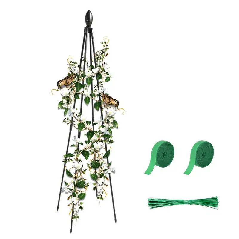 

Potted Plants Trellis Garden Rattan Frame Trellis Elegant And Simple Plant Climbing Aid Tool For Roses Ivy Clematis And Tomatoes